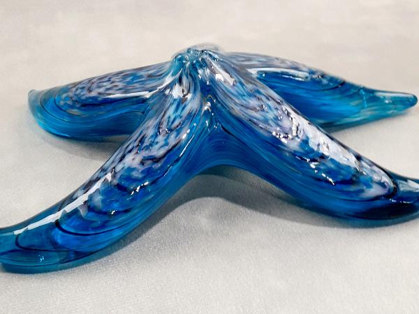 #10262636 Starfish with wall hanger 8''W $90.00