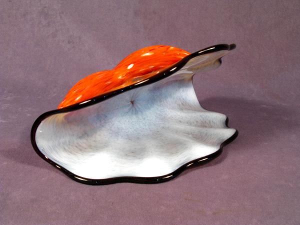 #11 #05211403 Starfish on Shell