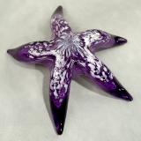 #10262642 Starfish with wall hanger 6''W $80.00