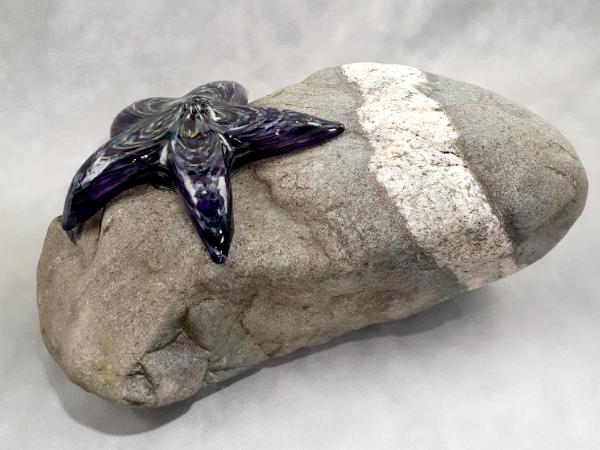 #09162509 Starfish on rock Purple 4.75''HX10.25''WX7.5''D $180.00