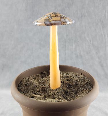 #04152445 mushroom with glass stake 8''Hx4''W $70