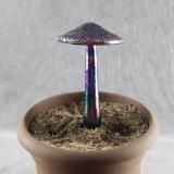 #04152456 mushroom with glass stake 7''Hx4''W $70