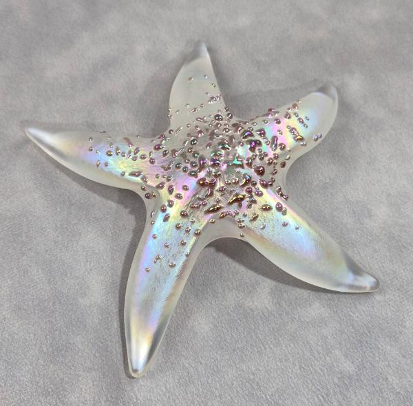 #02252611 Starfish Glows in the dark 6.5'' W Iridised  $100.00