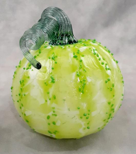 #09162526 Med Pumpkin 4'' to 5''  $55.00