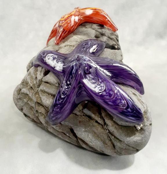 #01 #09162511 Two Starfish on rock Purple & Orange 6.25''HX10''WX7.5''D $280.00