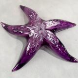 #06 #12152514 Starfish  6.25'W   $85.00