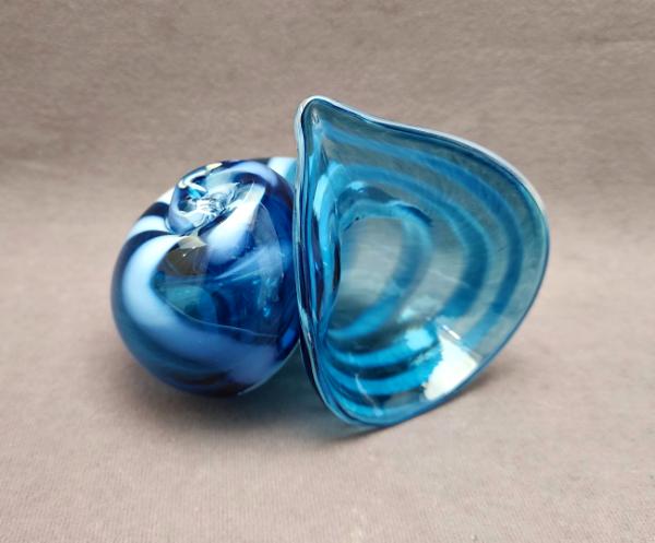 #07 #07172303 seashell 4.5''Hx5.5''Wx4''D $165