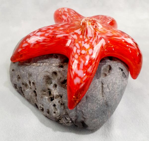 #10262622 Starfish on rock 3''HX5''WX4.5''D $125.00