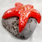 #10262622 Starfish on rock 3''HX5''WX4.5''D $125.00