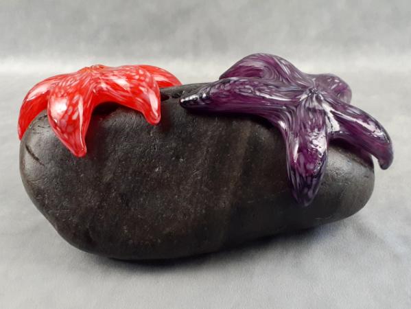 #25 #08302401 Starfish on rock 4''HX10.25WX6.5''D $275.00