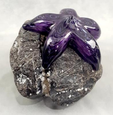#09162506 Starfish on rock Purple 4.75''HX6''WX5.5''D $150.00