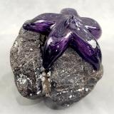 #23 #09162506 Starfish on rock Purple 4.75''HX6''WX5.5''D $150.00