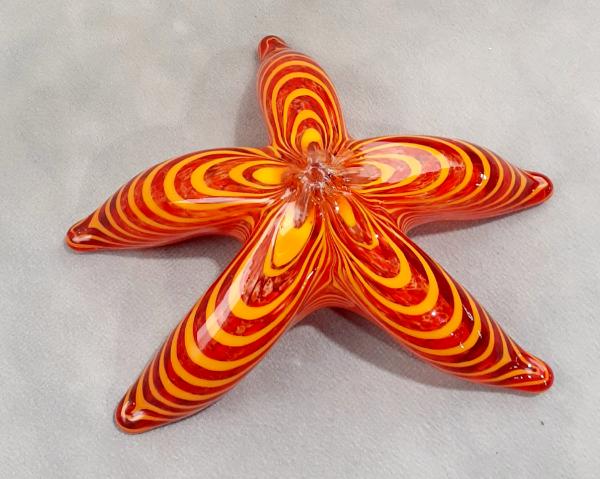 #12152510 Starfish Wall Hanger 6''W   $90.00