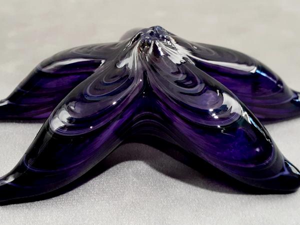 #09162503 Starfish Purple 5.75'' $80.00
