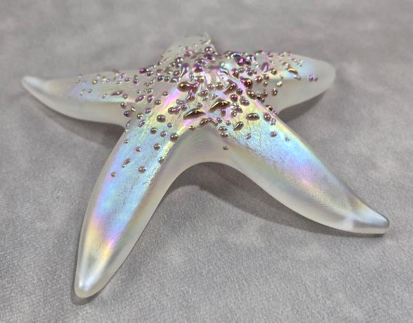 #02252611 Starfish Glows in the dark 6.5'' W Iridised  $100.00