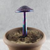 #04152454 mushroom with glass stake 7''Hx4''W $70