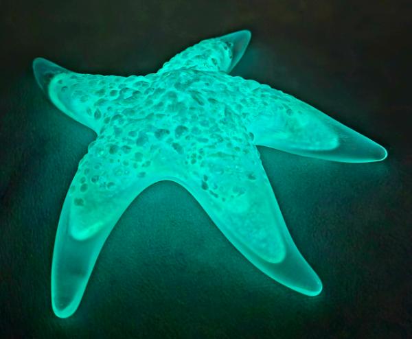 #02252608 Starfish Glows in the dark 6.75'' W Iridised  $100.00