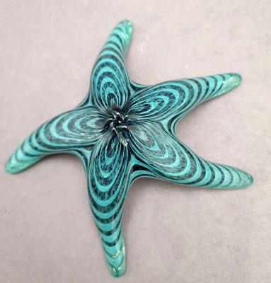 #05162304 starfish (wall hangs and sits flat) 2.5''Hx7.5''W $100