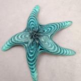 #05162304 starfish (wall hangs and sits flat) 2.5''Hx7.5''W $100