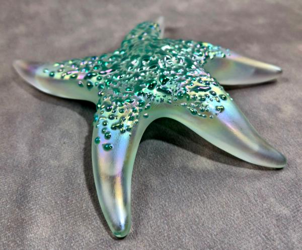 #02252608 Starfish Glows in the dark 6.75'' W Iridised  $100.00