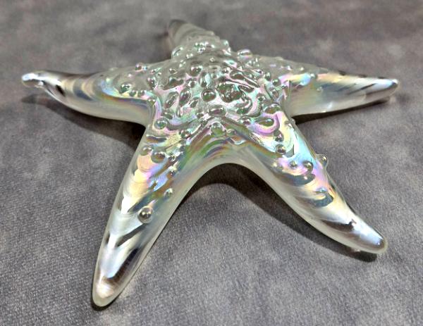 #02252610 Starfish Glows in the dark 6.75'' W Iridised  $100.00