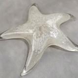 #10262643 Starfish Glow in the dark with wall hanger 6.5''W $100.00