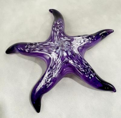 #04 #10262639 Starfish with wall hanger 7.25''W $90.00