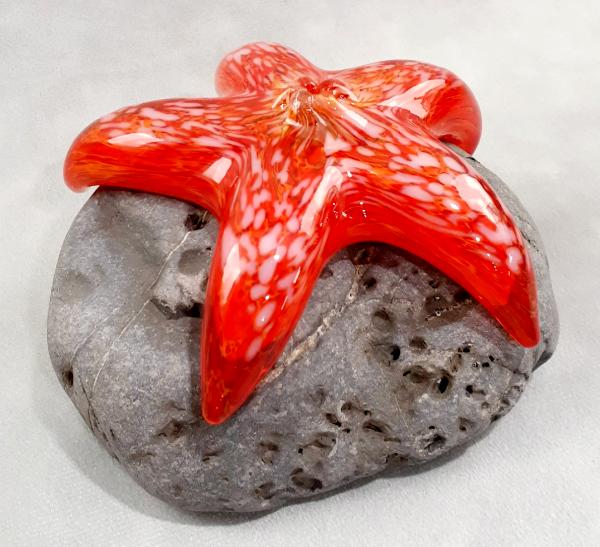#10262622 Starfish on rock 3''HX5''WX4.5''D $125.00