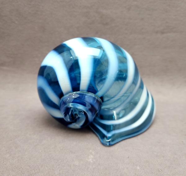#07172303 seashell 4.5''Hx5.5''Wx4''D $165