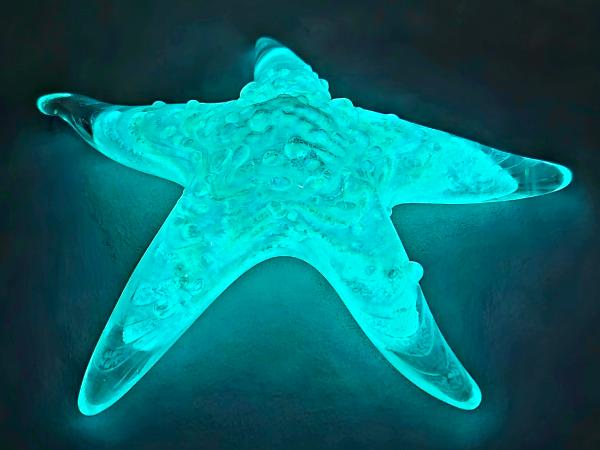 #02252610 Starfish Glows in the dark 6.75'' W Iridised  $100.00