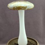 #04052411 LG mushroom with glass stake 12''Hx6''W $100
