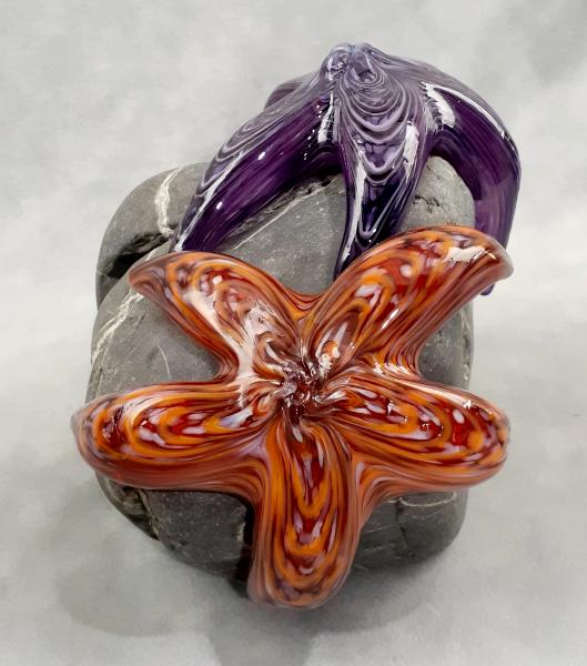 #24 #09162510 Two Starfish on rock Purple & Orange 5.5''HX5''WX6''D $260.00