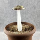 #04162401 GLOW IN THE DARK mushroom on glass stake 7''Hx4''w $80