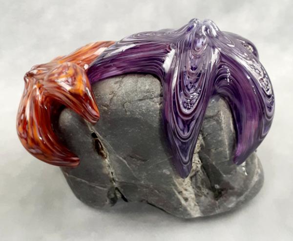 #09162510 Two Starfish on rock Purple & Orange 5.5''HX5''WX6''D $260.00