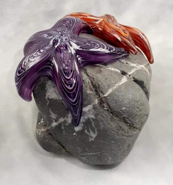 #09162510 Two Starfish on rock Purple & Orange 5.5''HX5''WX6''D $260.00