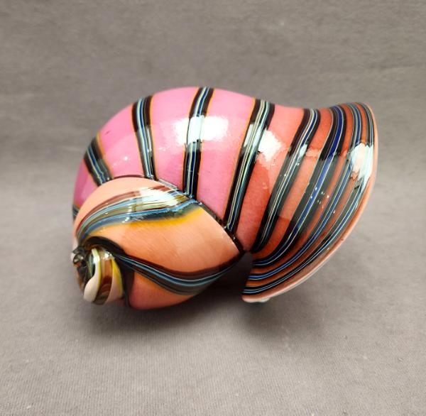  #07192303 seashell 4''Hx8''Wx5.5''D $175