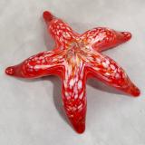 #12152511 Starfish Wall Hanger 6.5''W   $90.00