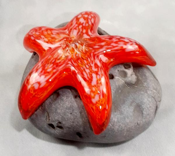 #21 #10262622 Starfish on rock 3''HX5''WX4.5''D $125.00