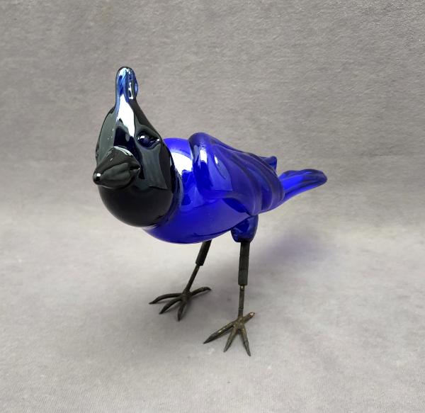 #08032203 steller's jay 7''Hx11''Lx3.5''W $300