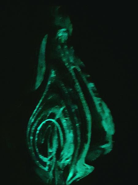 #11172502 Solid Glass Sculpture Glows in the Dark 7.25''HX4.75''WX2.75''D $150.00