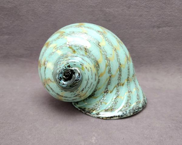#07172305 seashell 4.5''Hx6.5''Wx4.5''D $175