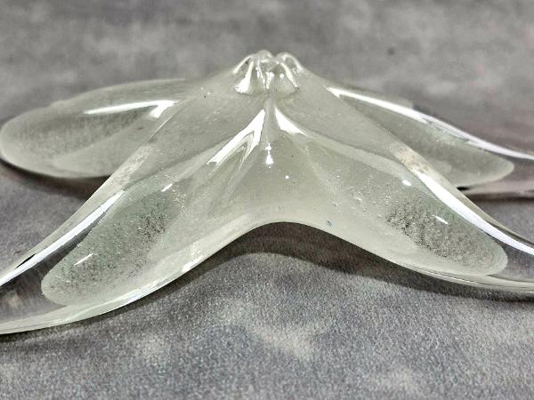 #02252604 Starfish Glows in the dark 6.75'' W  $100.00