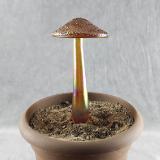 #04152451 mushroom with glass stake 8''Hx4''W $70