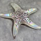 #02252607 Starfish Glows in the dark 7.25'' W Iridised  $100.00