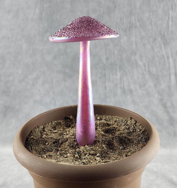 #04152441 mushroom with glass stake 8''Hx4''W $70