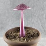 #04152441 mushroom with glass stake 8''Hx4''W $70