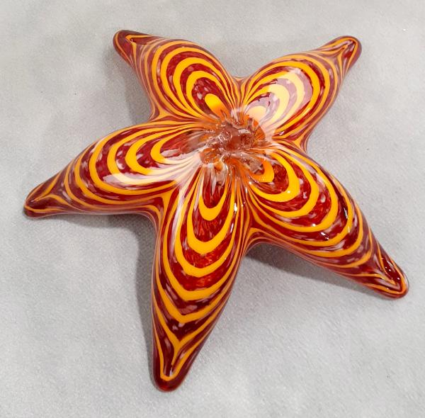 #12152512 Starfish Wall Hanger 6''W   $90.00