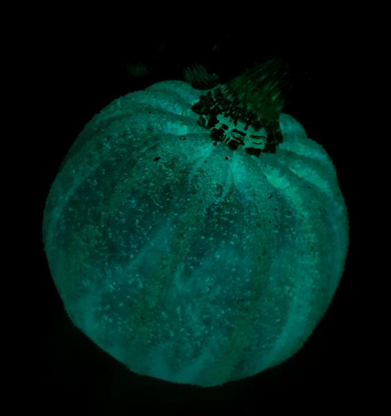 #10242511 Pumpkin Med Glow in dark 4'' to 5'' $65.00