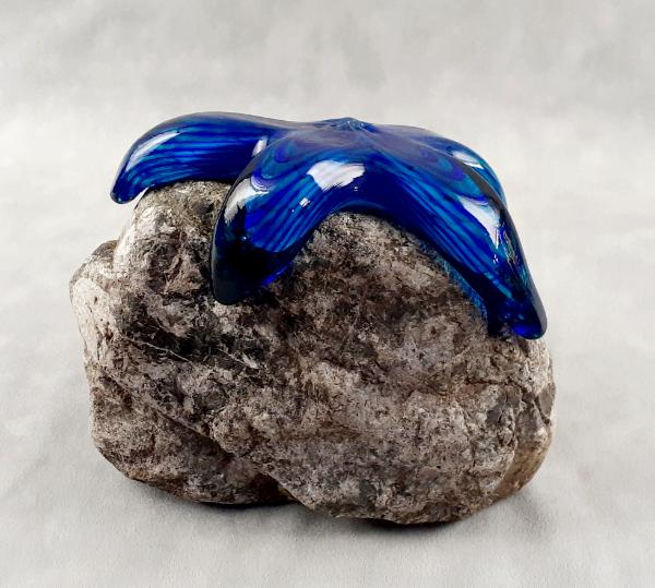 #22 #08222402 Starfish on rock 6.5''HX7''WX4.25''D $150.00