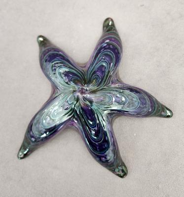 #05162312 starfish (wall hangs and sits flat) 2.25''Hx7''W $100